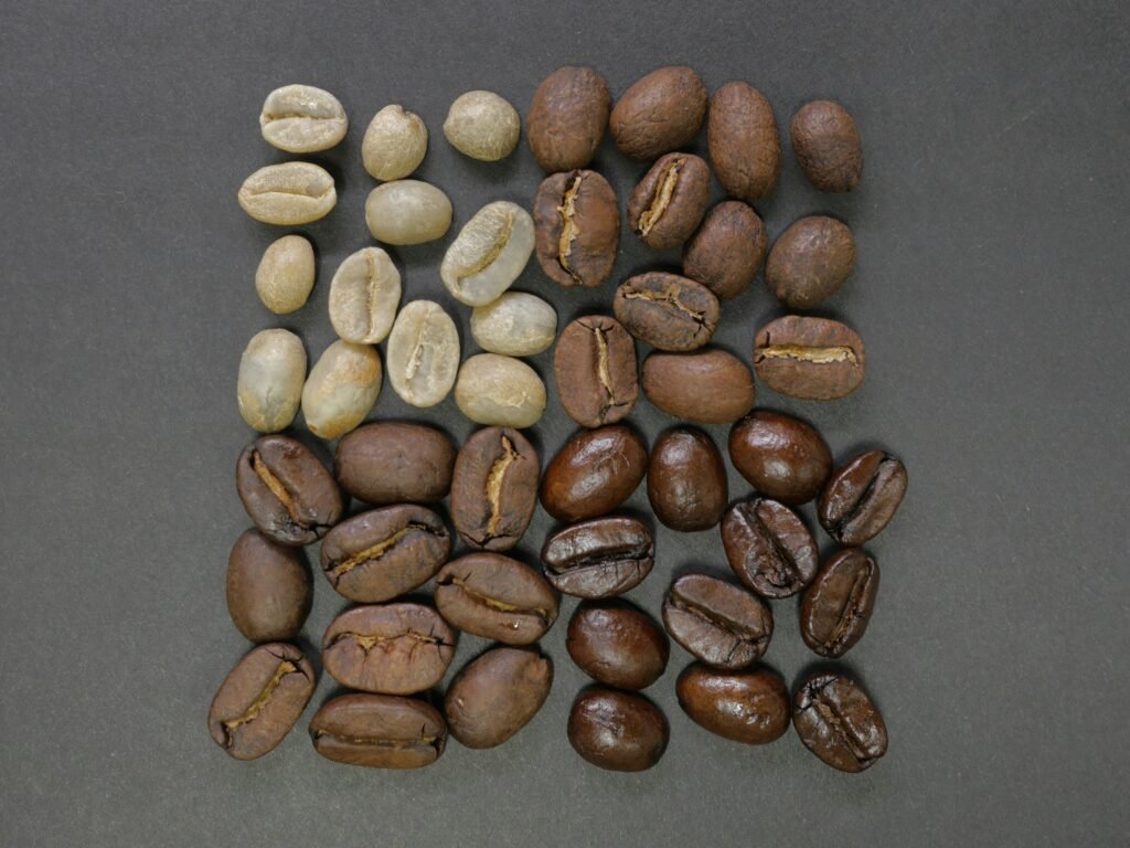 alt coffee brewing methods comparison